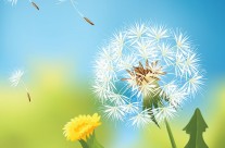 2012~2014届理事会第四次会议简报