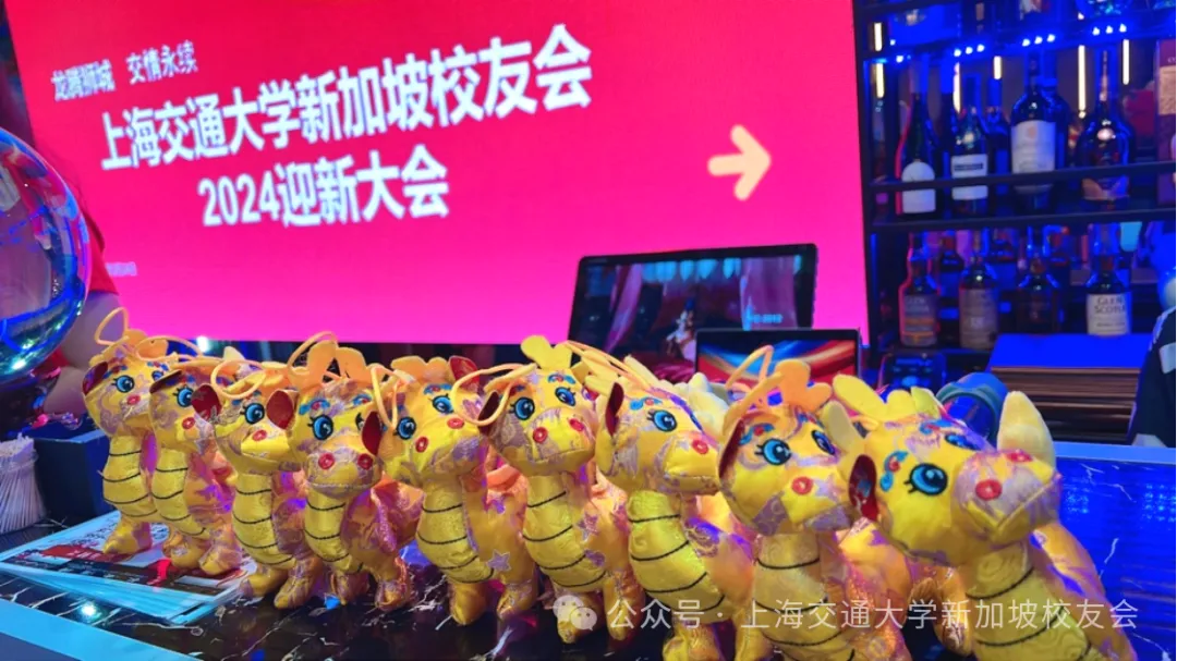 龙腾狮城，交情永续 配图 1