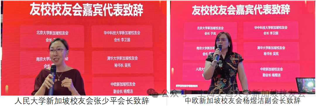 龙腾狮城，交情永续 配图 6
